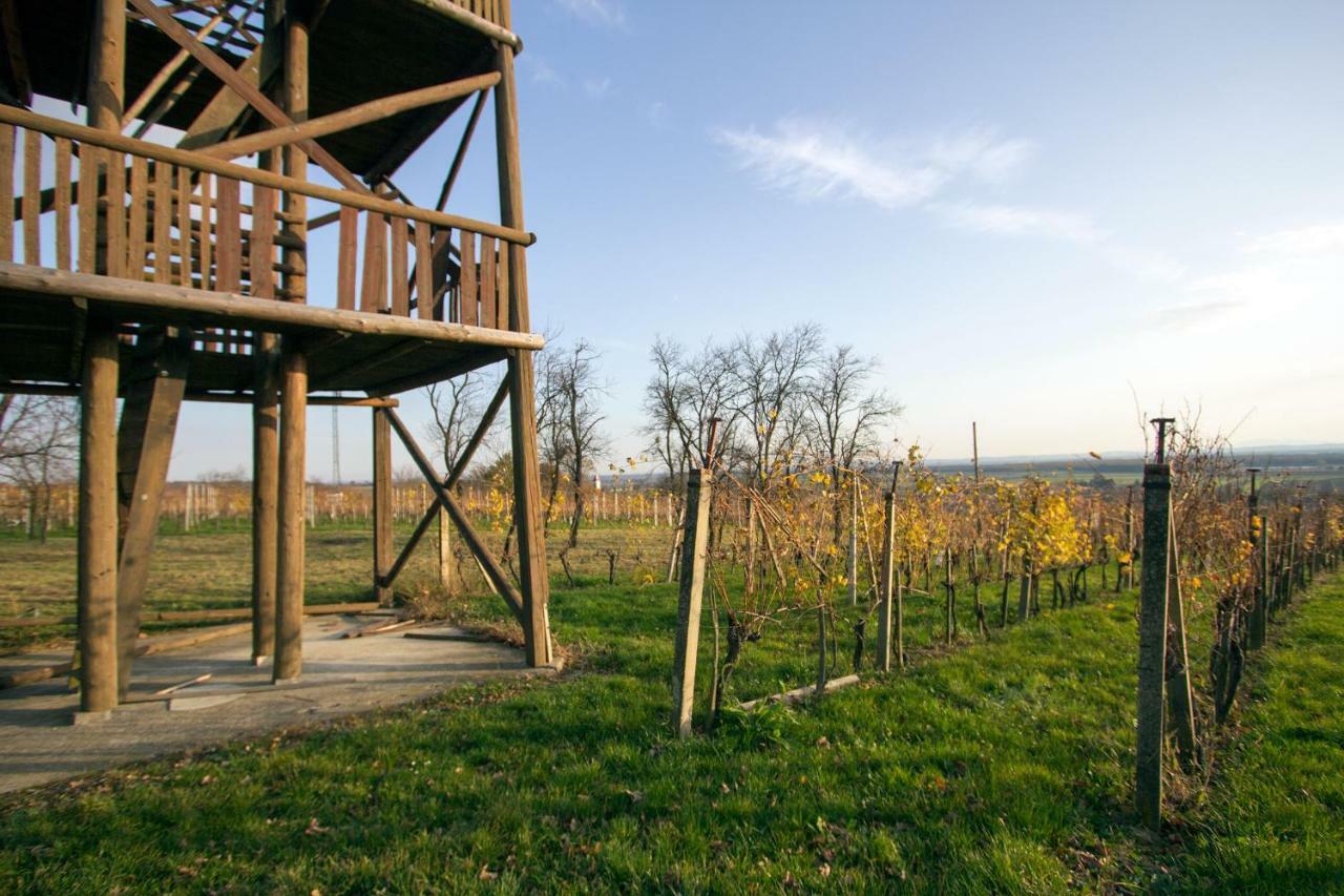 Holiday Home Janko Bogojina ภายนอก รูปภาพ